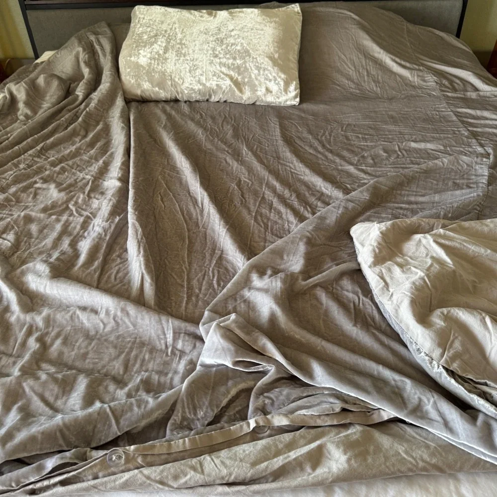 West Elm Duvet Cover Set Full Queen Silver Crushed Velvet Shimmer 1 pillow sham